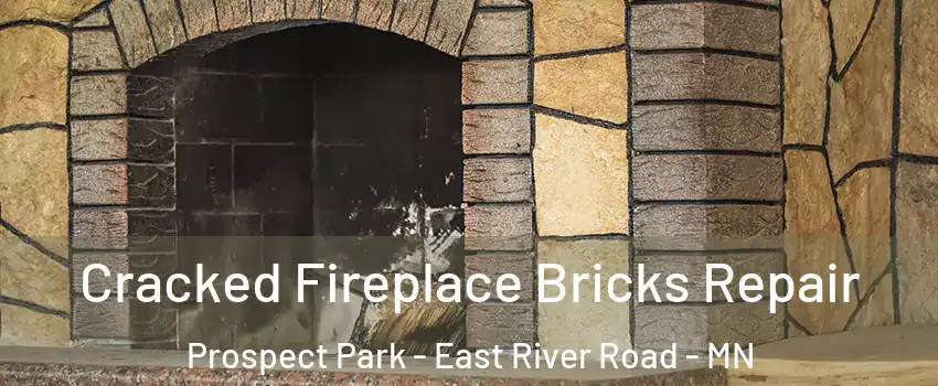 Cracked Fireplace Bricks Repair Prospect Park - East River Road - MN