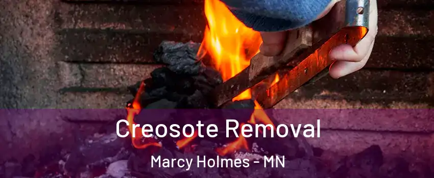 Creosote Removal Marcy Holmes - MN