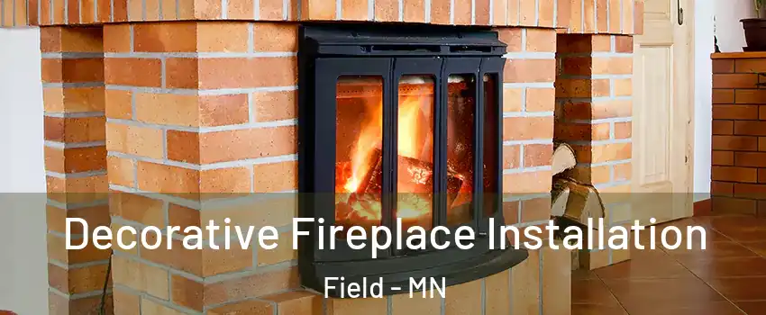 Decorative Fireplace Installation Field - MN