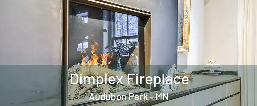 Dimplex Fireplace Audubon Park - MN