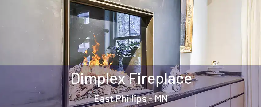 Dimplex Fireplace East Phillips - MN