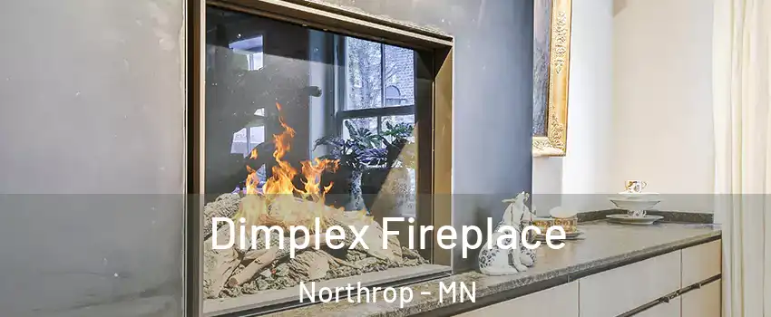 Dimplex Fireplace Northrop - MN