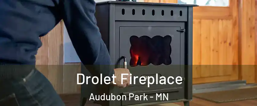 Drolet Fireplace Audubon Park - MN