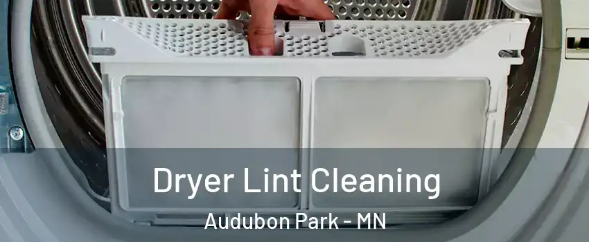 Dryer Lint Cleaning Audubon Park - MN