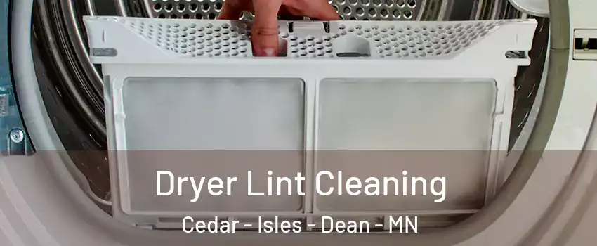 Dryer Lint Cleaning Cedar - Isles - Dean - MN