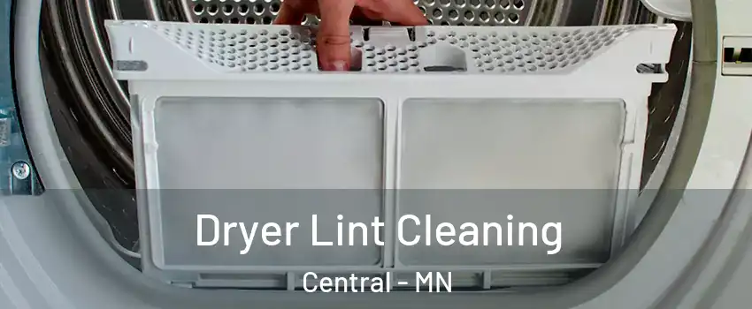 Dryer Lint Cleaning Central - MN