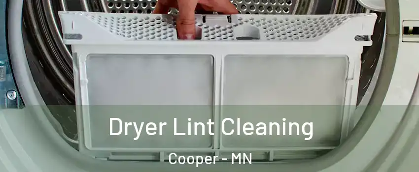 Dryer Lint Cleaning Cooper - MN