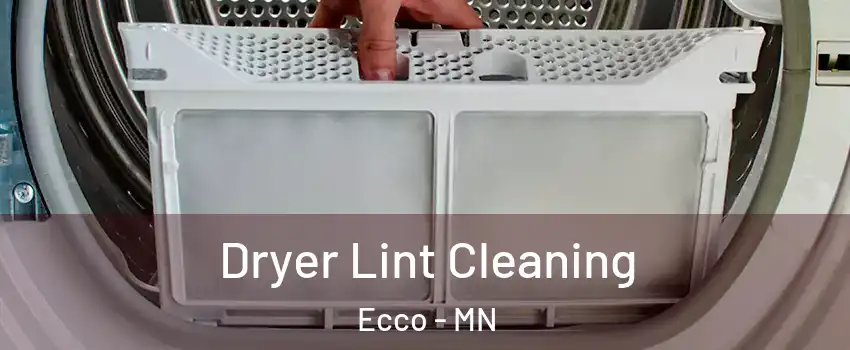 Dryer Lint Cleaning Ecco - MN
