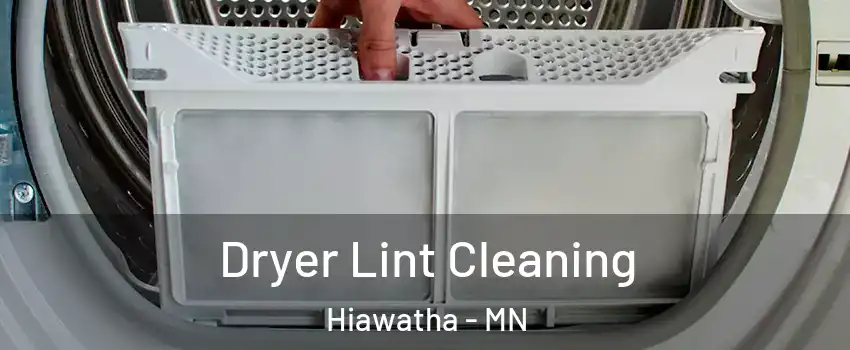 Dryer Lint Cleaning Hiawatha - MN