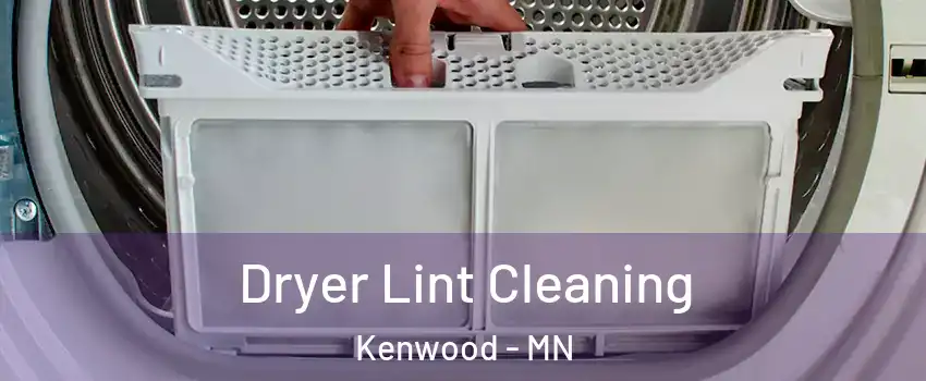 Dryer Lint Cleaning Kenwood - MN
