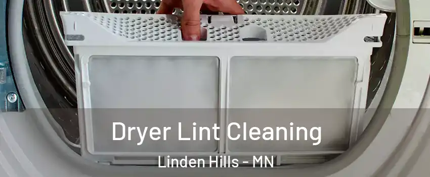Dryer Lint Cleaning Linden Hills - MN