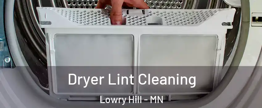 Dryer Lint Cleaning Lowry Hill - MN