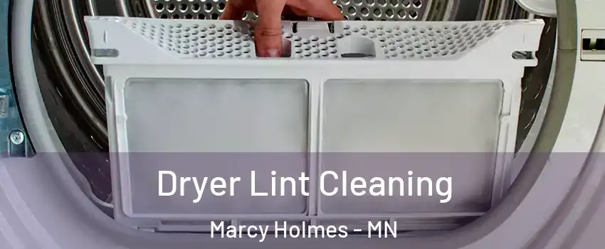 Dryer Lint Cleaning Marcy Holmes - MN