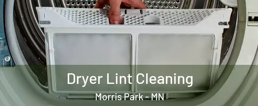 Dryer Lint Cleaning Morris Park - MN