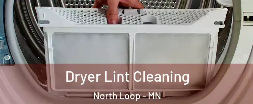 Dryer Lint Cleaning North Loop - MN