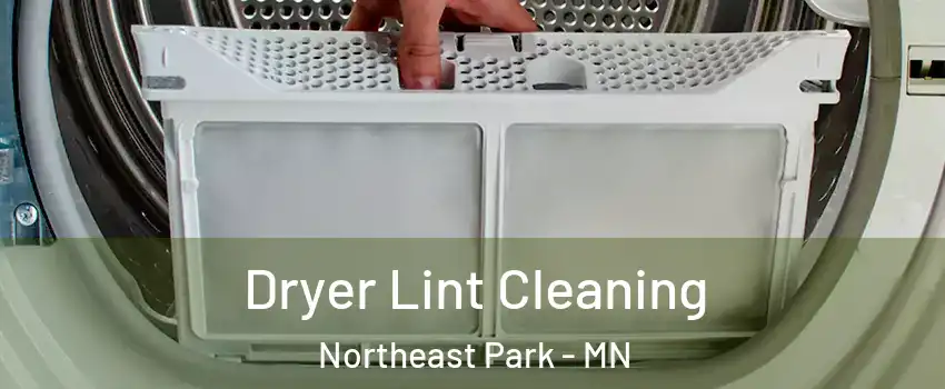 Dryer Lint Cleaning Northeast Park - MN