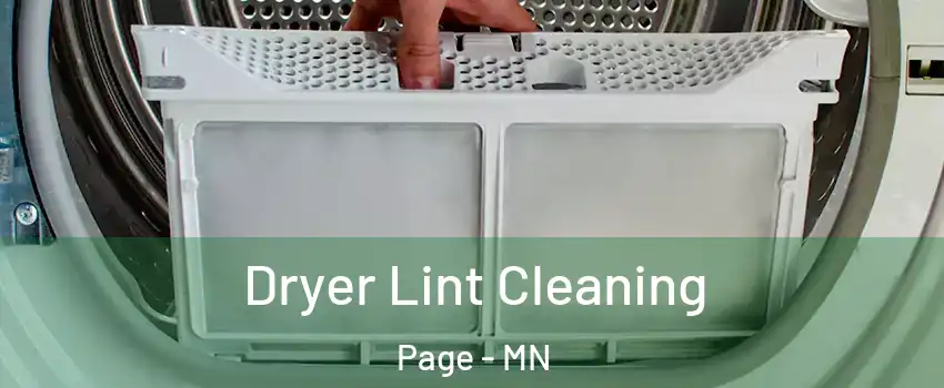 Dryer Lint Cleaning Page - MN