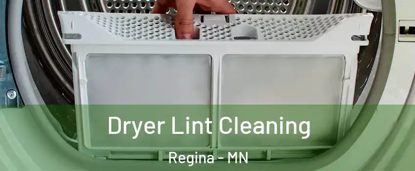 Dryer Lint Cleaning Regina - MN