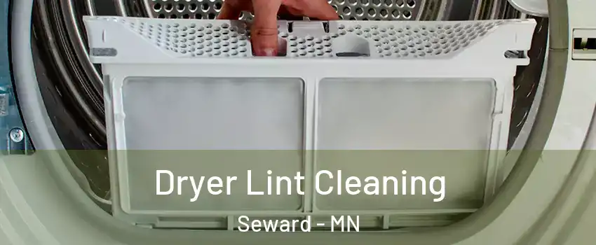 Dryer Lint Cleaning Seward - MN