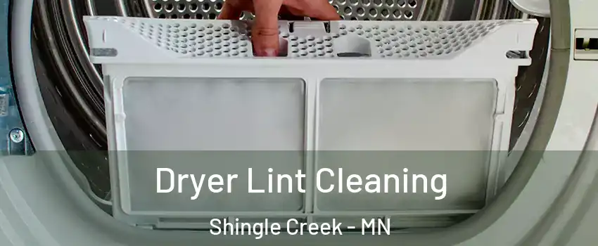 Dryer Lint Cleaning Shingle Creek - MN