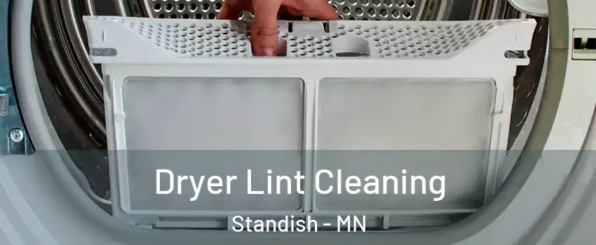 Dryer Lint Cleaning Standish - MN