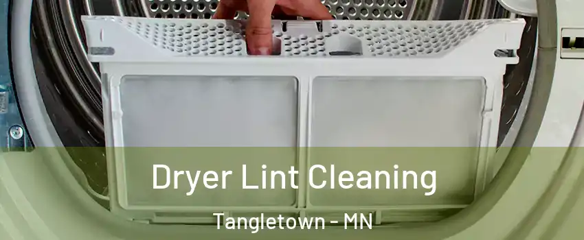 Dryer Lint Cleaning Tangletown - MN