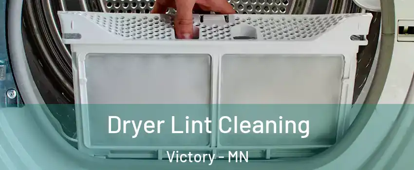 Dryer Lint Cleaning Victory - MN