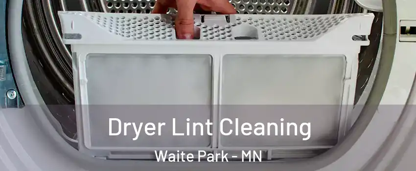Dryer Lint Cleaning Waite Park - MN