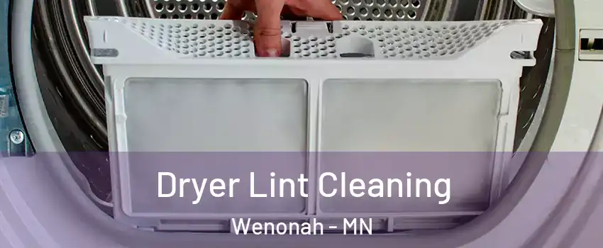 Dryer Lint Cleaning Wenonah - MN