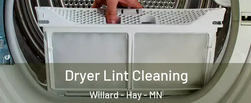 Dryer Lint Cleaning Willard - Hay - MN