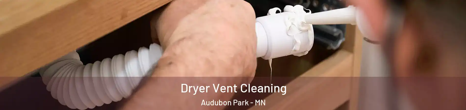 Dryer Vent Cleaning Audubon Park - MN