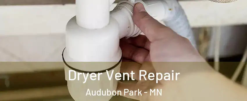Dryer Vent Repair Audubon Park - MN
