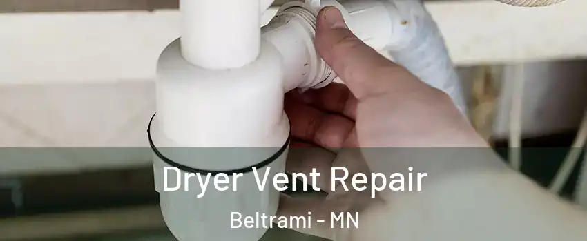 Dryer Vent Repair Beltrami - MN