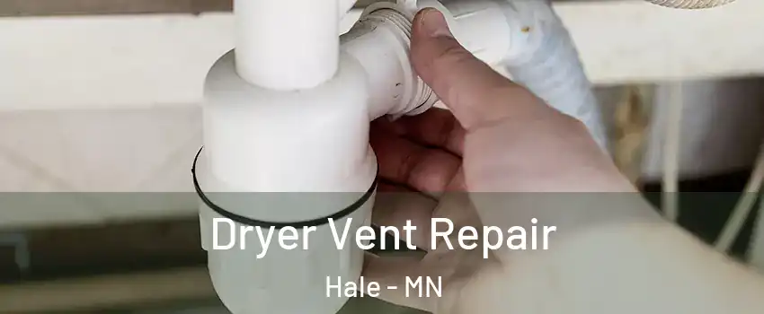 Dryer Vent Repair Hale - MN