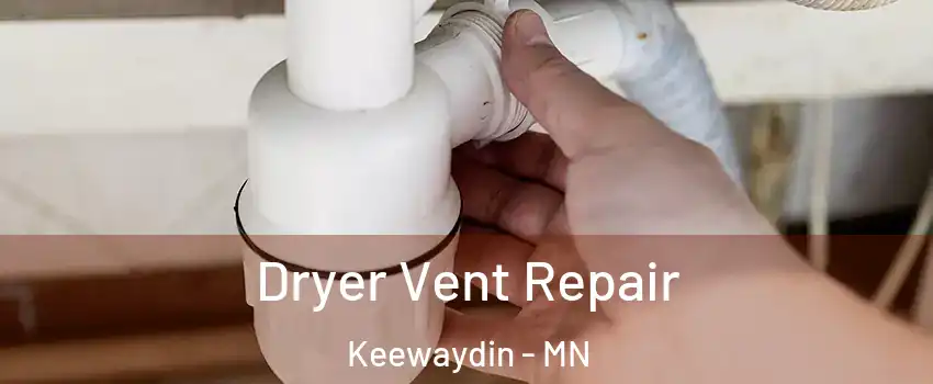 Dryer Vent Repair Keewaydin - MN