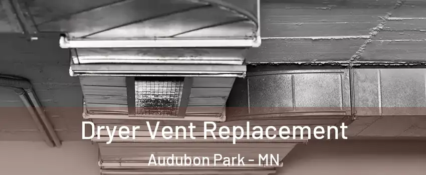 Dryer Vent Replacement Audubon Park - MN
