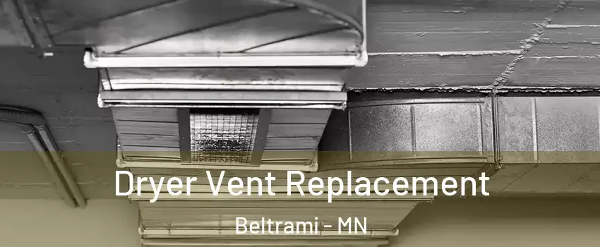 Dryer Vent Replacement Beltrami - MN