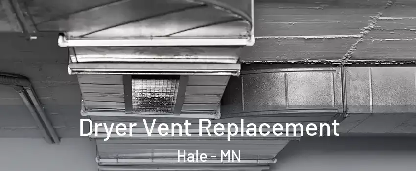 Dryer Vent Replacement Hale - MN