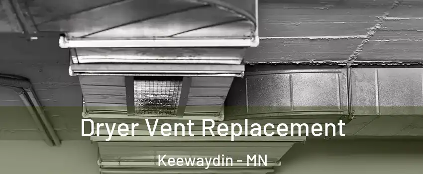 Dryer Vent Replacement Keewaydin - MN