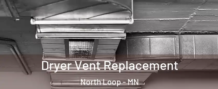 Dryer Vent Replacement North Loop - MN