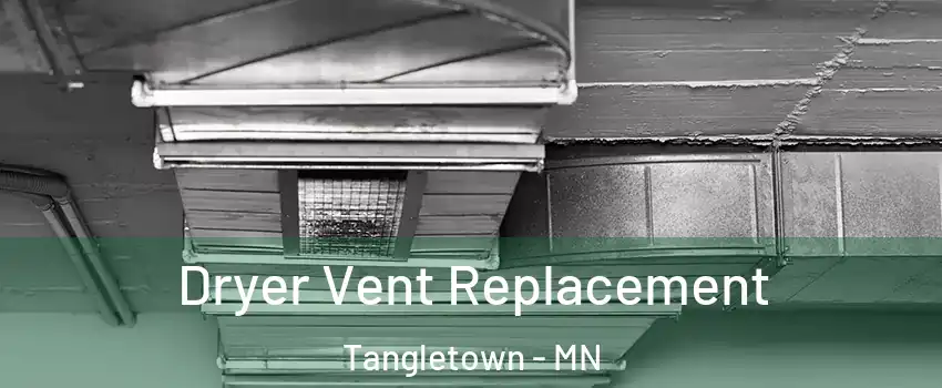 Dryer Vent Replacement Tangletown - MN