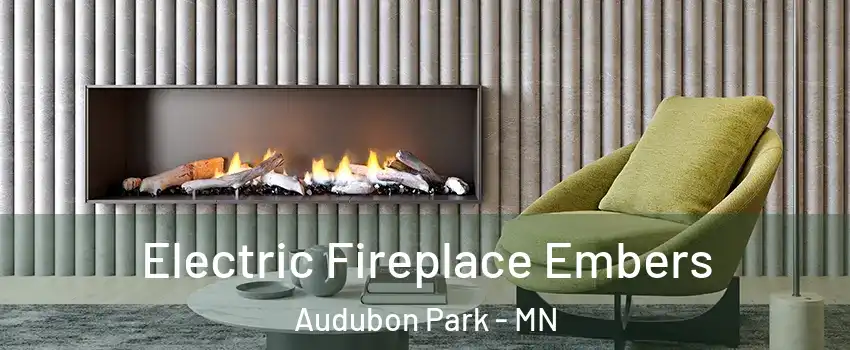 Electric Fireplace Embers Audubon Park - MN