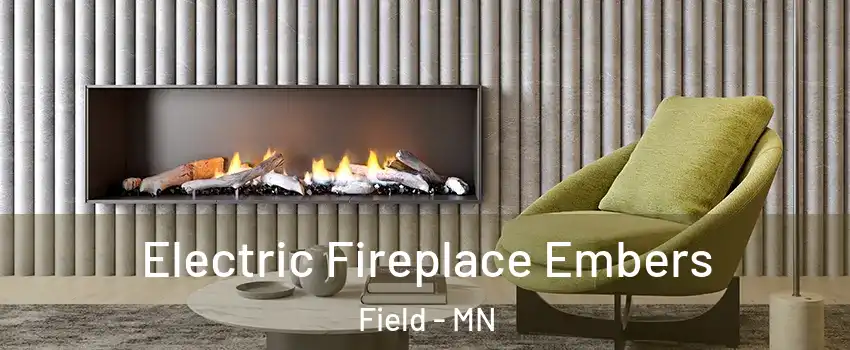 Electric Fireplace Embers Field - MN
