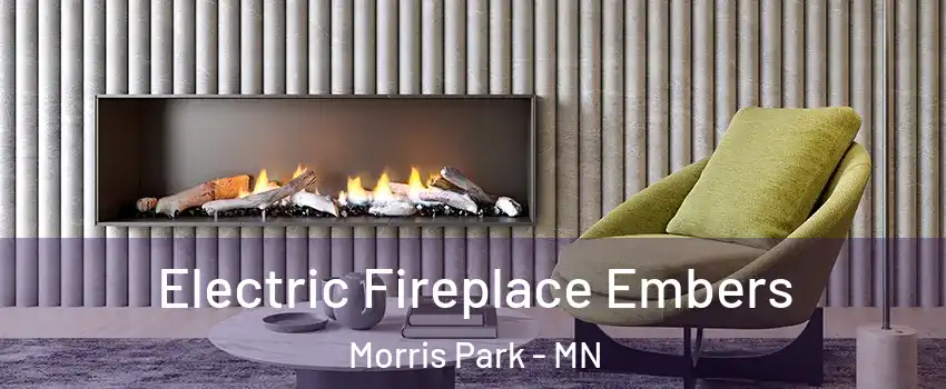 Electric Fireplace Embers Morris Park - MN