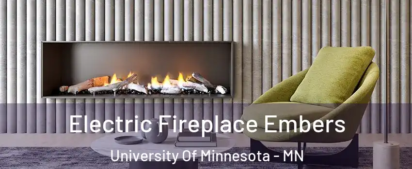 Electric Fireplace Embers University Of Minnesota - MN