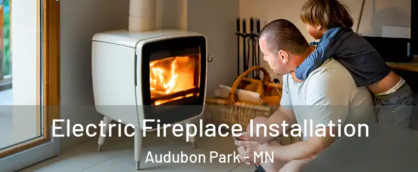 Electric Fireplace Installation Audubon Park - MN