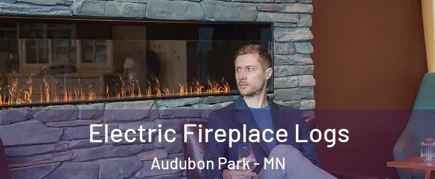 Electric Fireplace Logs Audubon Park - MN