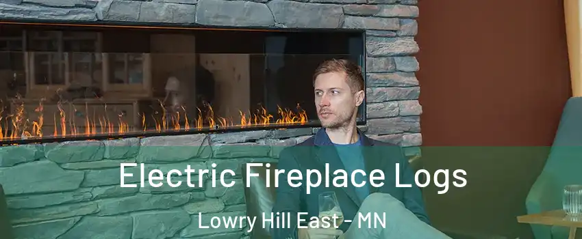 Electric Fireplace Logs Lowry Hill East - MN