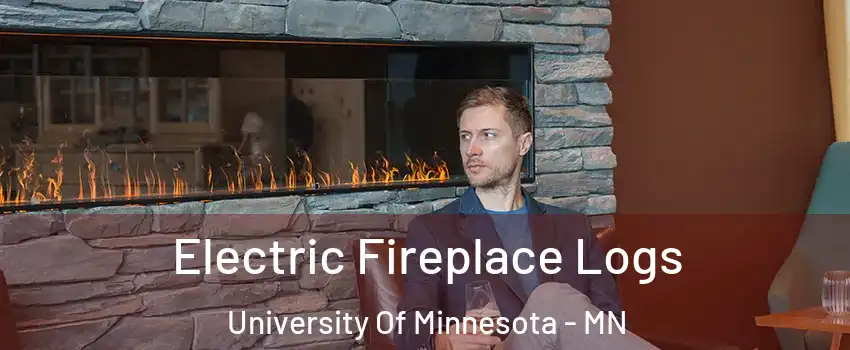 Electric Fireplace Logs University Of Minnesota - MN