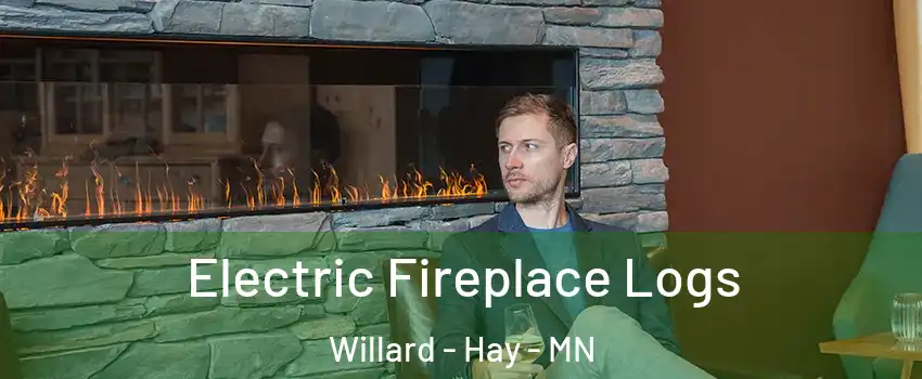 Electric Fireplace Logs Willard - Hay - MN